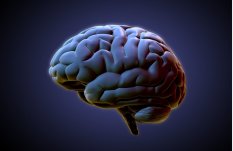 5 dicas para atingir o estado de flow, o ápice da produtividade